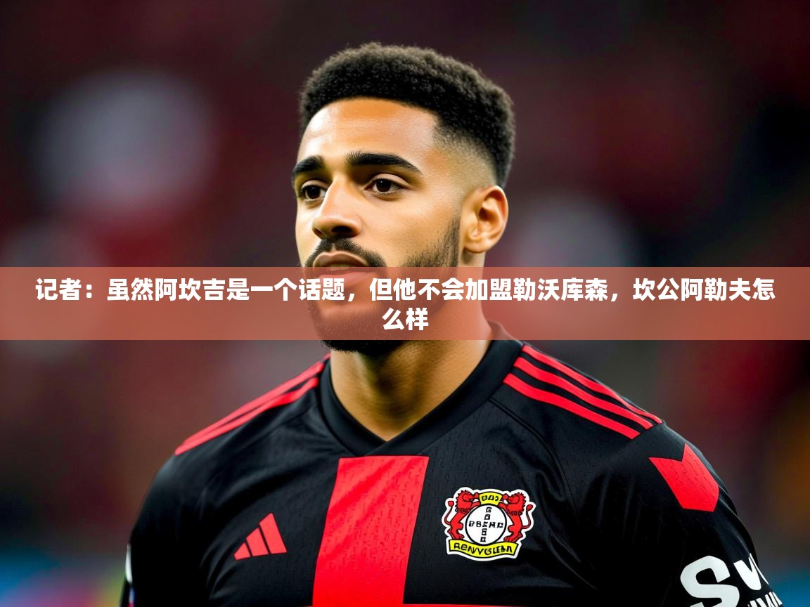 2025九游娱乐app记者：虽然阿坎吉是一个话题，但他不会加盟勒沃库森，坎公阿勒夫怎么样  第1张