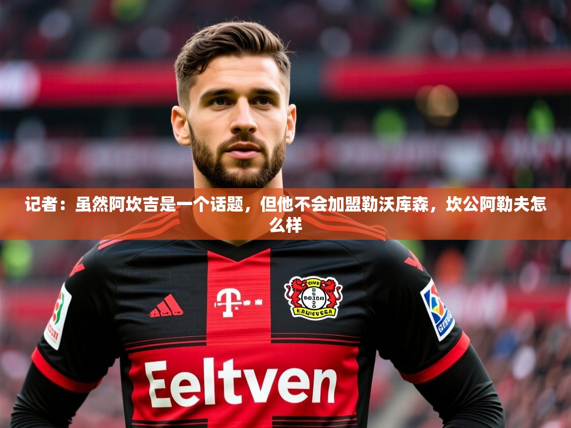 2025九游娱乐app记者：虽然阿坎吉是一个话题，但他不会加盟勒沃库森，坎公阿勒夫怎么样  第3张