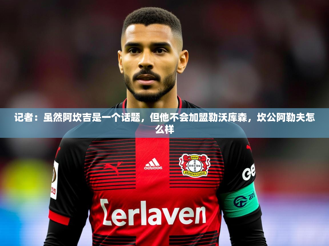 2025九游娱乐app记者：虽然阿坎吉是一个话题，但他不会加盟勒沃库森，坎公阿勒夫怎么样  第4张