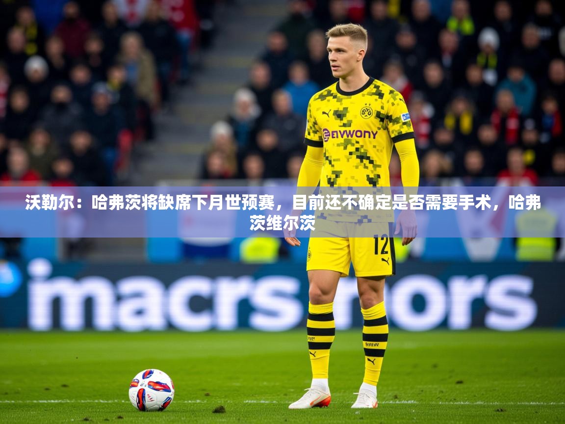 2025九游娱乐网站体验棒沃勒尔：哈弗茨将缺席下月世预赛，目前还不确定是否需要手术，哈弗茨维尔茨  第1张