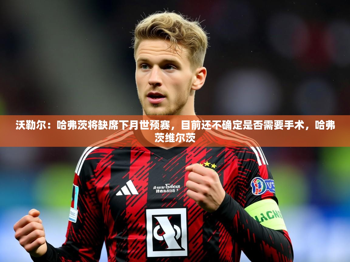 2025九游娱乐网站体验棒沃勒尔：哈弗茨将缺席下月世预赛，目前还不确定是否需要手术，哈弗茨维尔茨  第2张