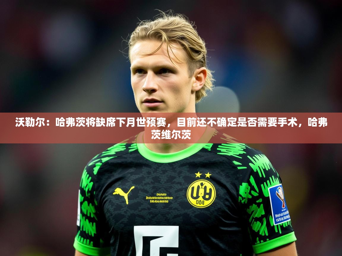 2025九游娱乐网站体验棒沃勒尔：哈弗茨将缺席下月世预赛，目前还不确定是否需要手术，哈弗茨维尔茨  第3张