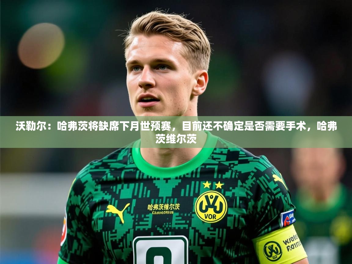 2025九游娱乐网站体验棒沃勒尔：哈弗茨将缺席下月世预赛，目前还不确定是否需要手术，哈弗茨维尔茨  第4张