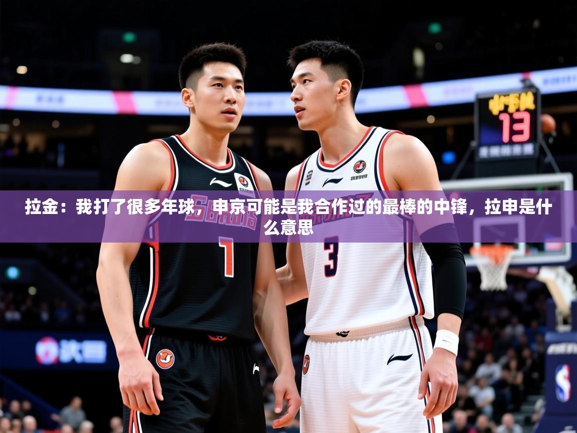 2025九游娱乐官网入口官方拉金：我打了很多年球，申京可能是我合作过的最棒的中锋，拉申是什么意思  第4张